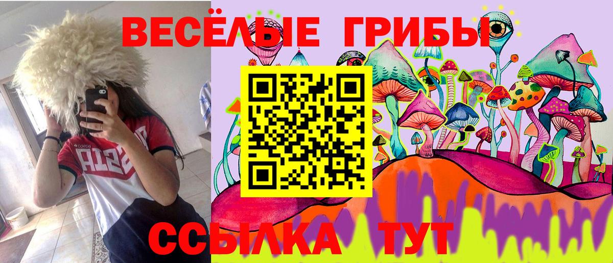 Галлюциногенные грибы MAGIC MUSHROOMS Медногорск